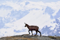 GS_GrandParadieso_KlausP_220417-8