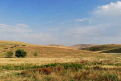 GS_PikLenin_220717-1