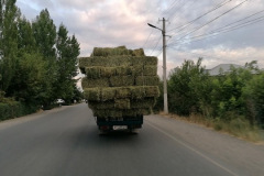 GS_PikLenin_220717-2